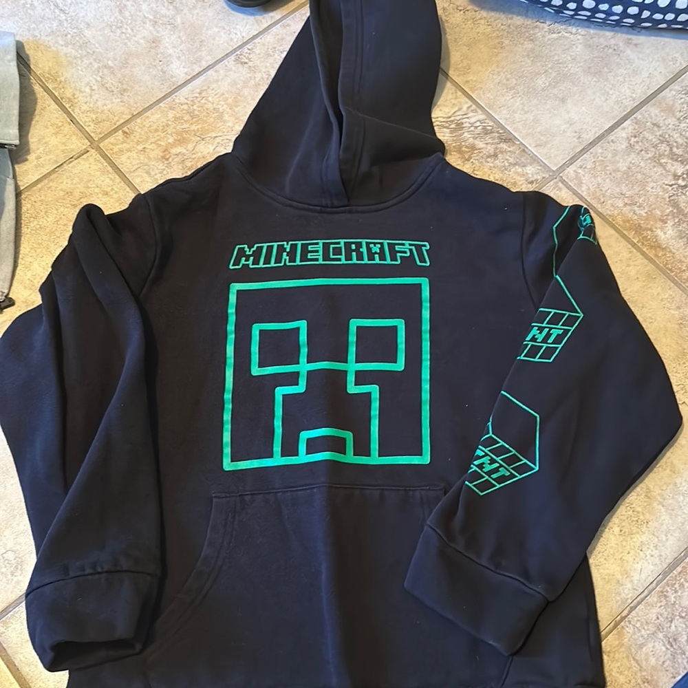 Minecraft hoodie